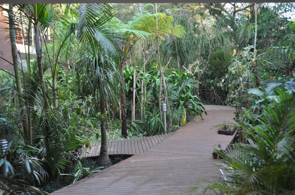 Forest Lodge Saint Lucia Estuary Exteriör bild
